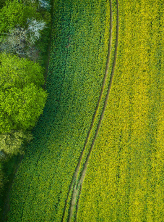 Farm field